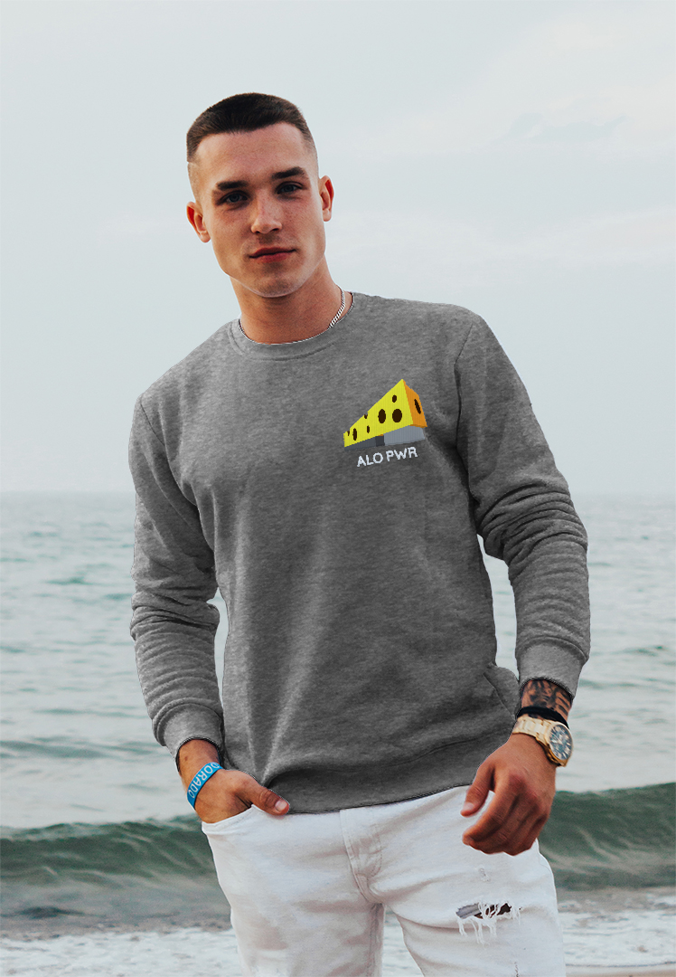 Bluza crewneck ALO PWr | Ser