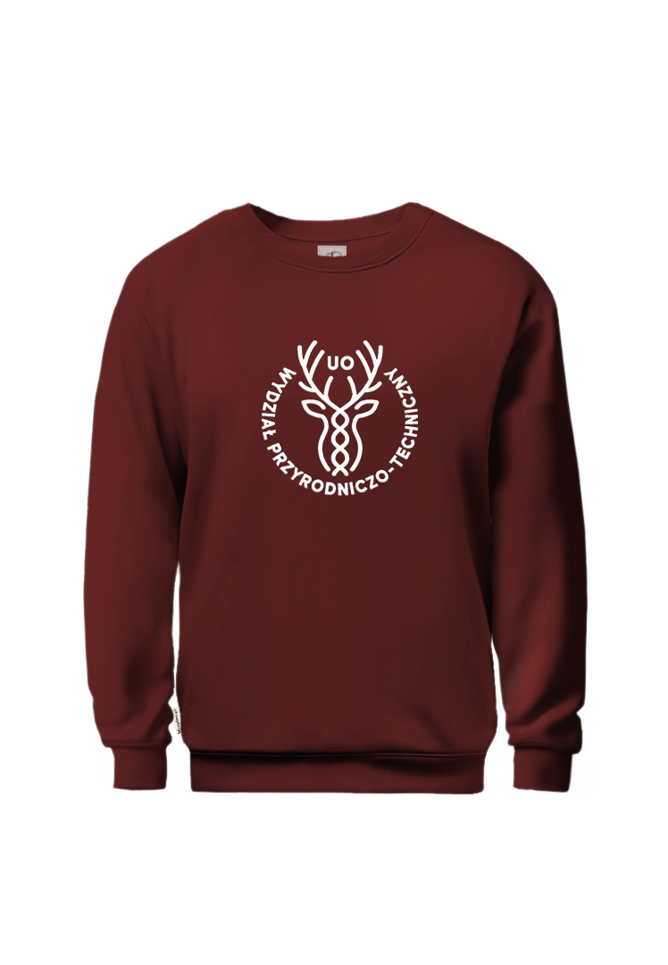 Bluza crewneck UO WPT