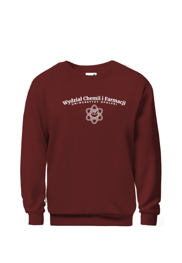 Bluza bez kaptura UO WChiF