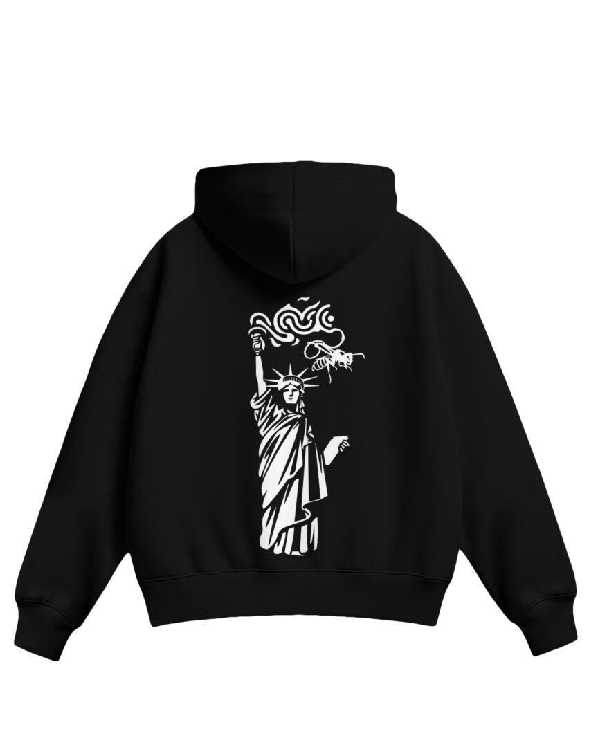 Bluza boxy UW IAiE