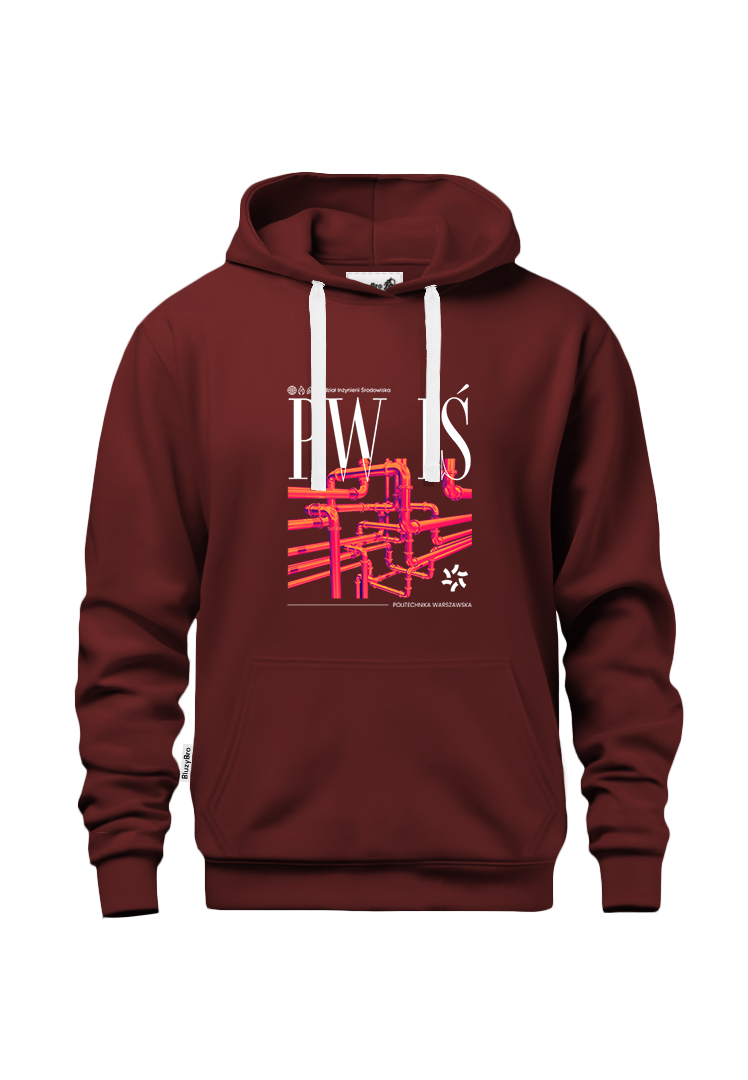 Bluza z kapturem PW IŚ | DTF