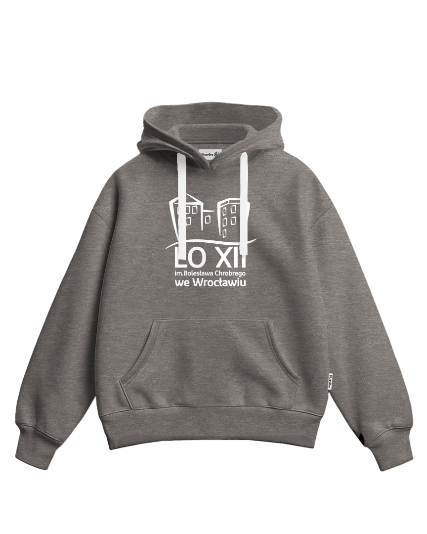 Bluza baggy XII LO Wrocław | Budynek