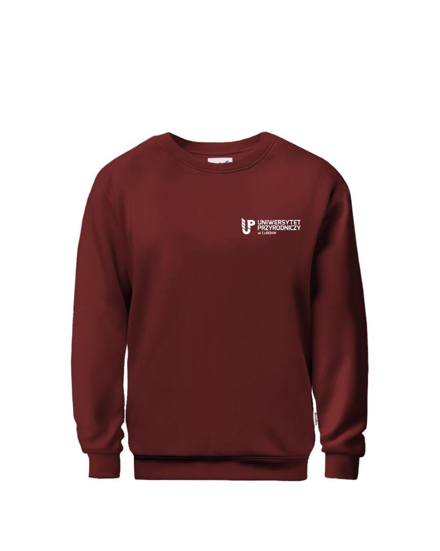 Bluza crewneck UP Lublin