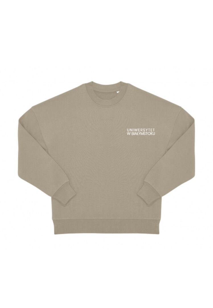 Bluza crewneck Quality boxy UwB | Graffiti